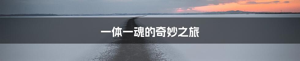 一体一魂的奇妙之旅