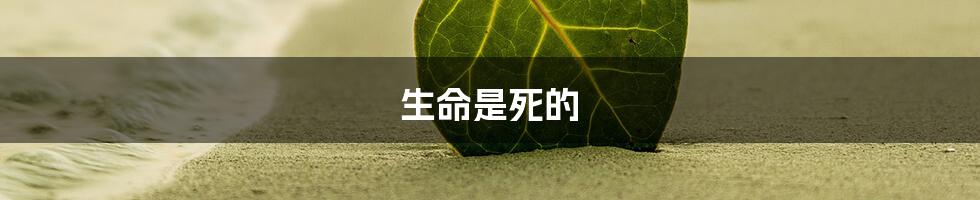 生命是死的