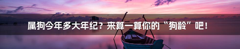 属狗今年多大年纪？来算一算你的“狗龄”吧！