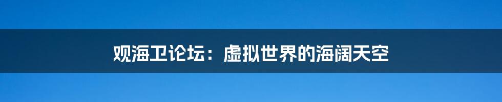 观海卫论坛:虚拟世界的海阔天空