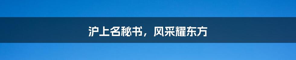 沪上名秘书,风采耀东方