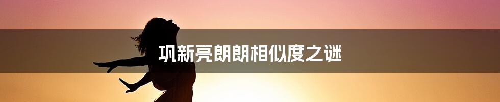 巩新亮朗朗相似度之谜