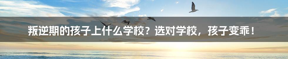 叛逆期的孩子上什么学校?选对学校,孩子变乖!