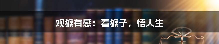 观猴有感:看猴子,悟人生