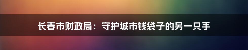 长春市财政局:守护城市钱袋子的另一只手