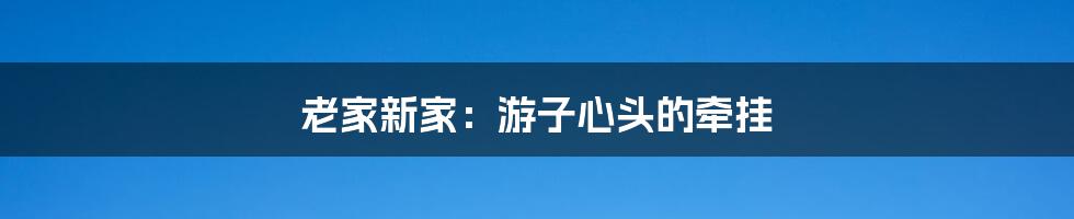老家新家:游子心头的牵挂