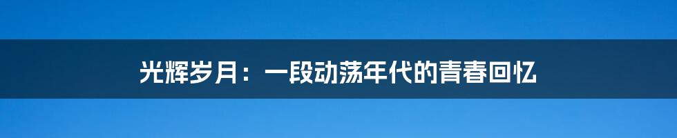 光辉岁月:一段动荡年代的青春回忆