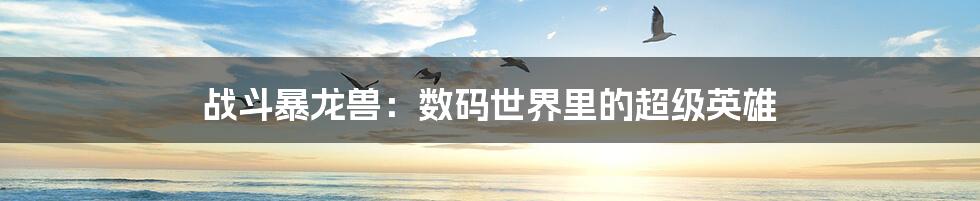 战斗暴龙兽:数码世界里的超级英雄
