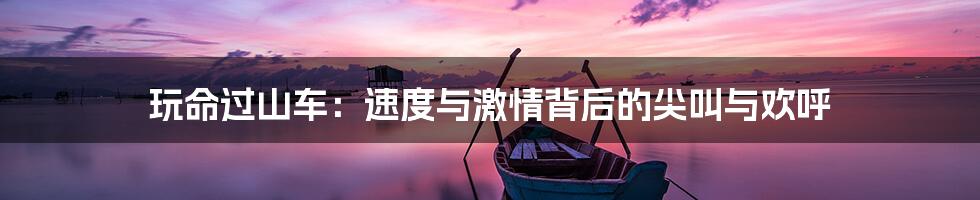 玩命过山车:速度与激情背后的尖叫与欢呼