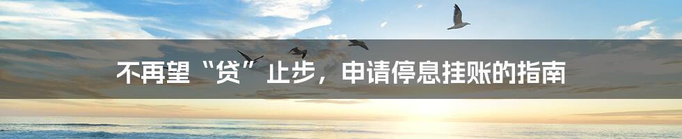 不再望“贷”止步,申请停息挂账的指南