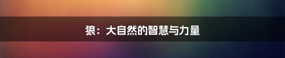 狼:大自然的智慧与力量