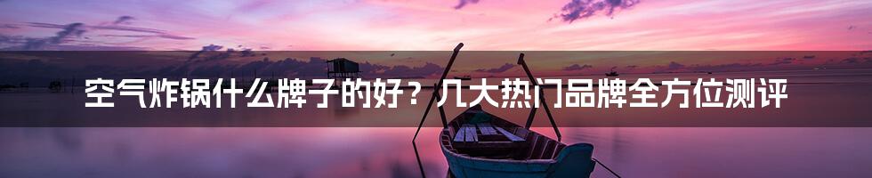空气炸锅什么牌子的好?几大热门品牌全方位测评