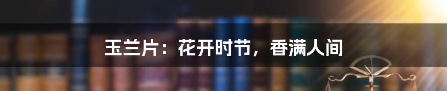 玉兰片:花开时节,香满人间