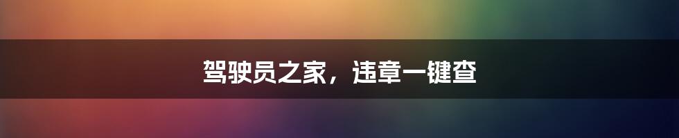 驾驶员之家,违章一键查