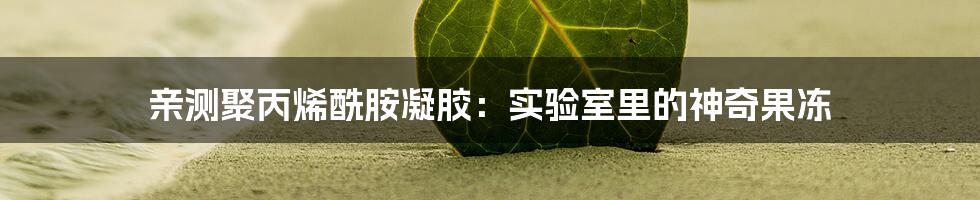 亲测聚丙烯酰胺凝胶:实验室里的神奇果冻