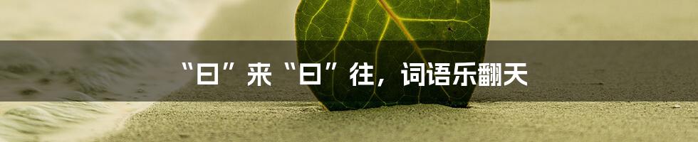 “曰”来“曰”往,词语乐翻天