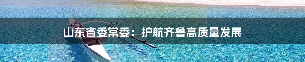 山东省委常委:护航齐鲁高质量发展