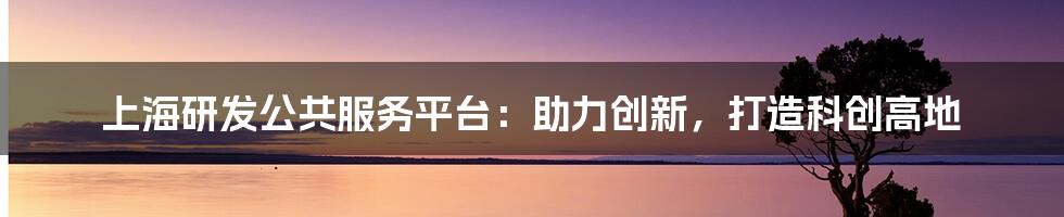 上海研发公共服务平台:助力创新,打造科创高地