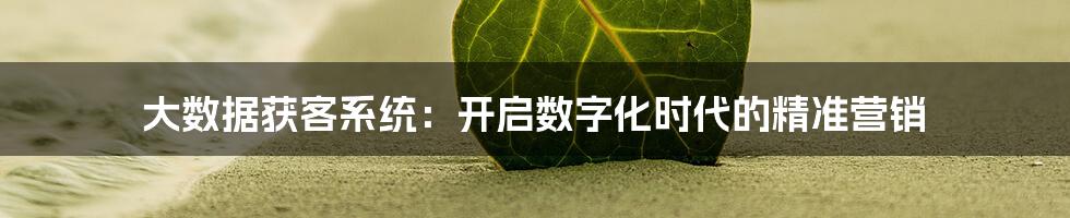 大数据获客系统：开启数字化时代的精准营销