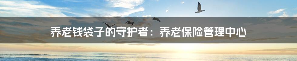 养老钱袋子的守护者：养老保险管理中心