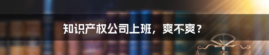 知识产权公司上班,爽不爽?