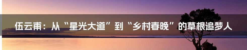 伍云甫:从“星光大道”到“乡村春晚”的草根追梦人