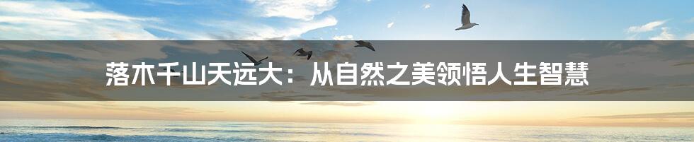 落木千山天远大：从自然之美领悟人生智慧