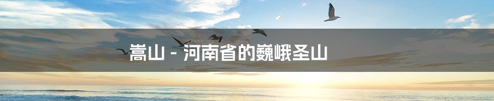 嵩山 - 河南省的巍峨圣山