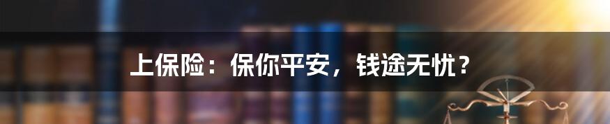 上保险:保你平安,钱途无忧?