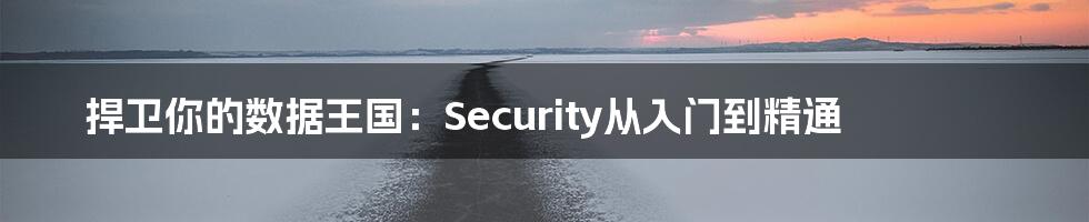 捍卫你的数据王国：Security从入门到精通
