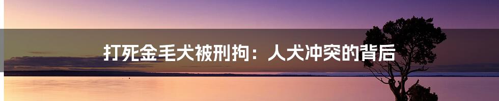 打死金毛犬被刑拘:人犬冲突的背后