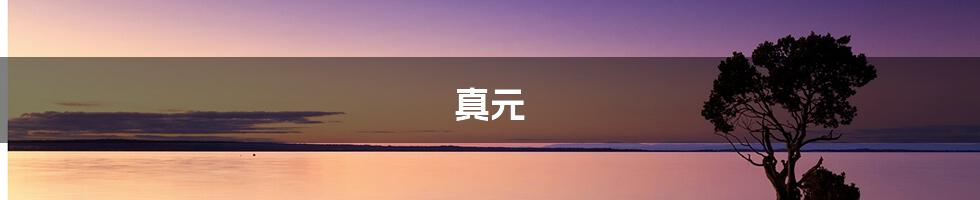 真元