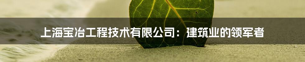 上海宝冶工程技术有限公司:建筑业的领军者