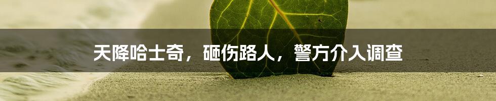 天降哈士奇,砸伤路人,警方介入调查