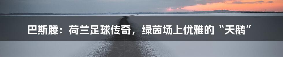 巴斯滕：荷兰足球传奇，绿茵场上优雅的“天鹅”