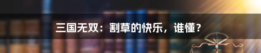 三国无双：割草的快乐，谁懂？