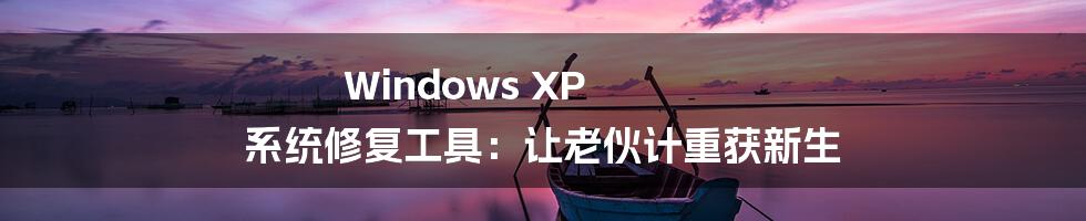 Windows XP 系统修复工具：让老伙计重获新生