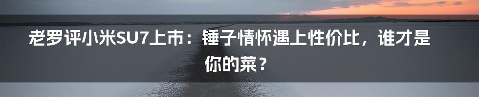 老罗评小米SU7上市:锤子情怀遇上性价比,谁才是你的菜?