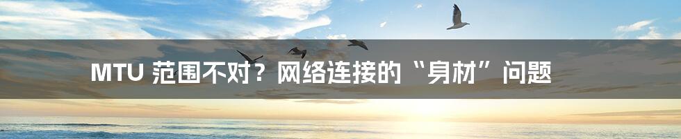 MTU 范围不对?网络连接的“身材”问题