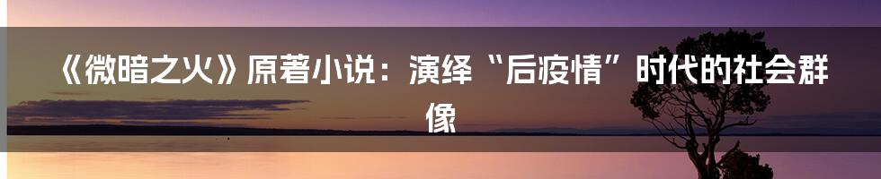 《微暗之火》原著小说:演绎“后疫情”时代的社会群像