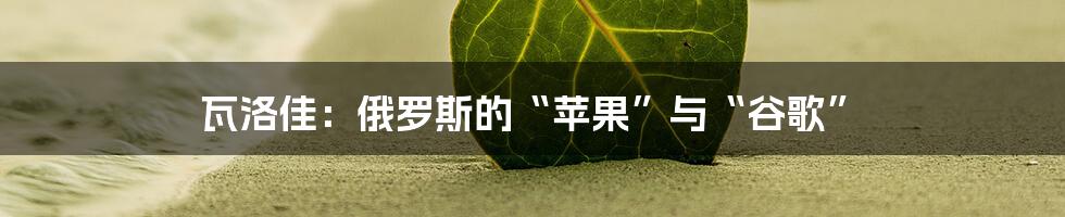 瓦洛佳:俄罗斯的“苹果”与“谷歌”