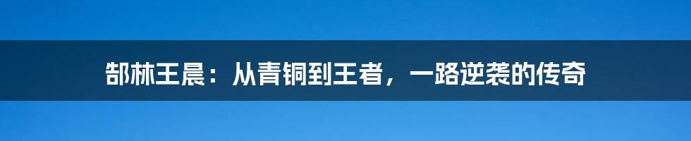 郜林王晨:从青铜到王者,一路逆袭的传奇