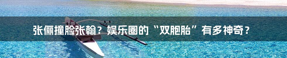 张俪撞脸张翰?娱乐圈的“双胞胎”有多神奇?