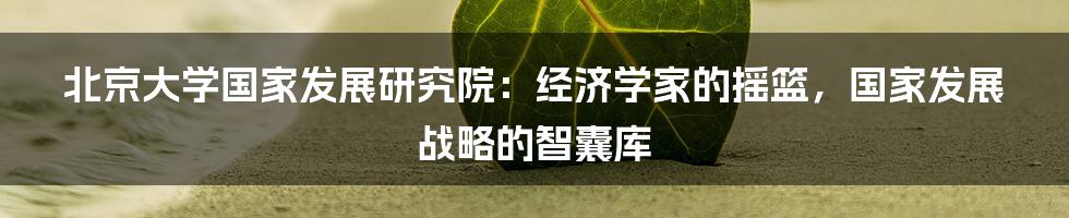 北京大学国家发展研究院：经济学家的摇篮，国家发展战略的智囊库