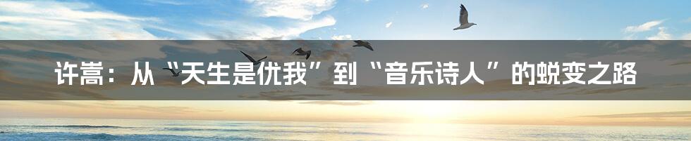 许嵩:从“天生是优我”到“音乐诗人”的蜕变之路