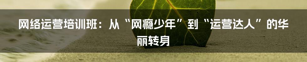 网络运营培训班:从“网瘾少年”到“运营达人”的华丽转身