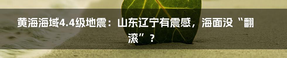 黄海海域4.4级地震：山东辽宁有震感，海面没“翻滚”？