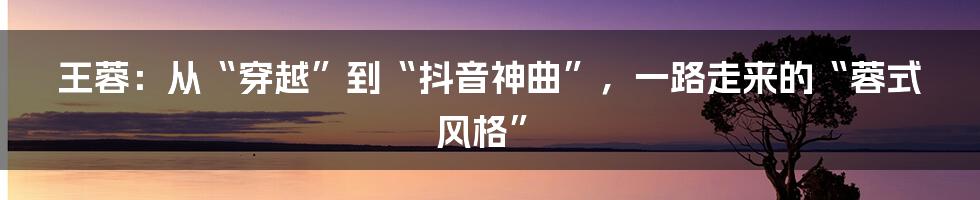 王蓉：从“穿越”到“抖音神曲”，一路走来的“蓉式风格”