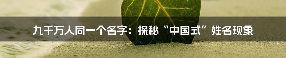 九千万人同一个名字:探秘“中国式”姓名现象