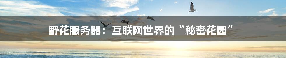野花服务器：互联网世界的“秘密花园”